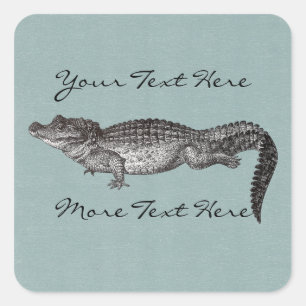 Autocollants carrés de crocodile