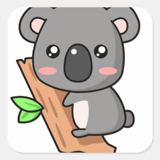Autocollants carrés Koala