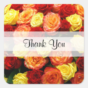 Autocollants Carrés Rose "Merci" personnalisés