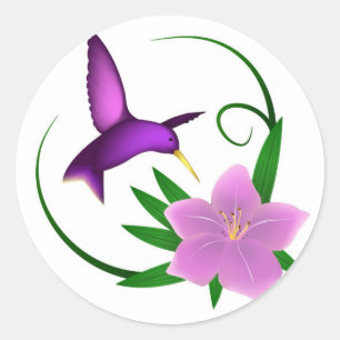 Autocollants 'Colibri'