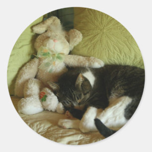 Autocollants d'ami de lapin et de minou