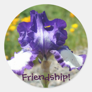 Autocollants d'amitié ! Fleurs d'Iris Violet autoc