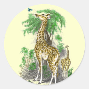 Autocollants d'anniversaire de girafe