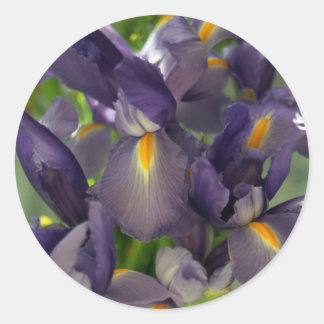 Autocollants d'art floral Irises violet