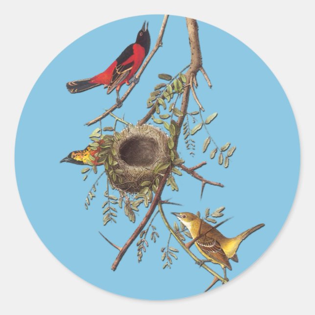 Autocollants d'art ornithologique Audubon Orchard (Devant)