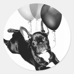 Cadeaux Bouledogue Francais De Jour Joyeux Anniversaire Zazzle Ca Cadeaux Bouledogue Francais De Jour Joyeux Anniversaire Zazzle Ca