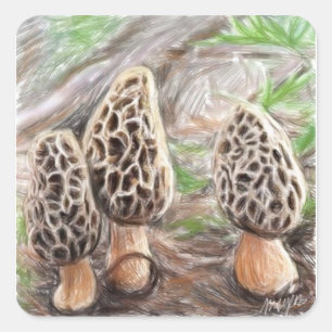 Autocollants de champignon de morelle