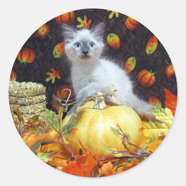 Autocollants de chat de Savannah en automne / Hall (Devant)