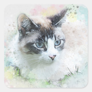 autocollants de chat rêve