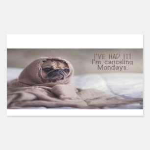 Autocollants de chien amusant