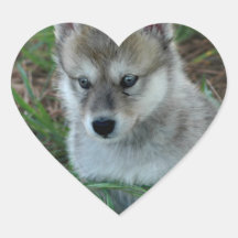 Autocollants de chiot de loup