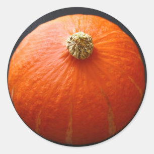 Autocollants de courge