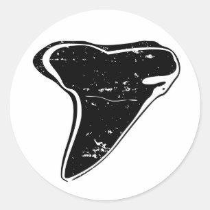 Autocollants de dent de requin fossilisé noir