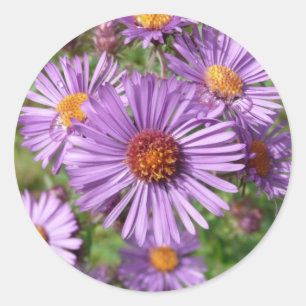 Autocollants de fleur sauvage