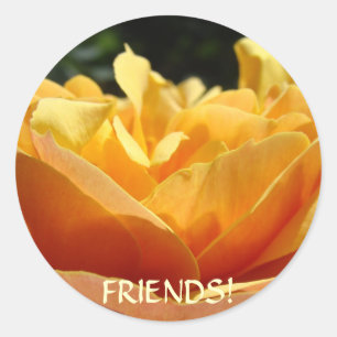 Autocollants de fleurs de rose FRIENDS Cadeaux d'a