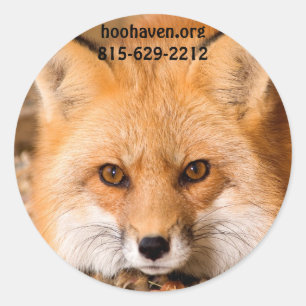 Autocollants de Fox rouge
