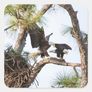 Autocollants de H et de M