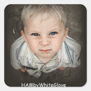 Autocollants de HAMbyWG- - patron de JAMBON