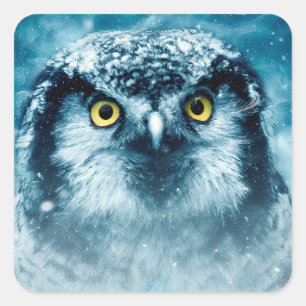 autocollants de hibou d'hiver