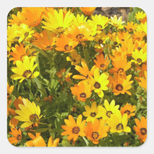 Autocollants de Joie de Vivre (1)