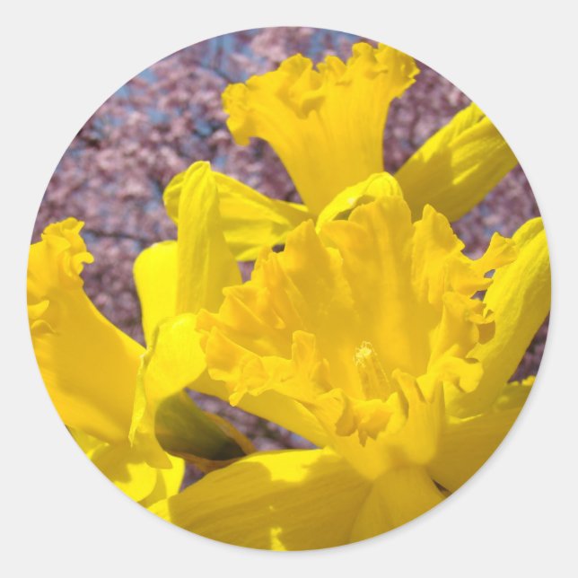 Autocollants de jonquille Jaune Fleurs Enveloppes (Devant)