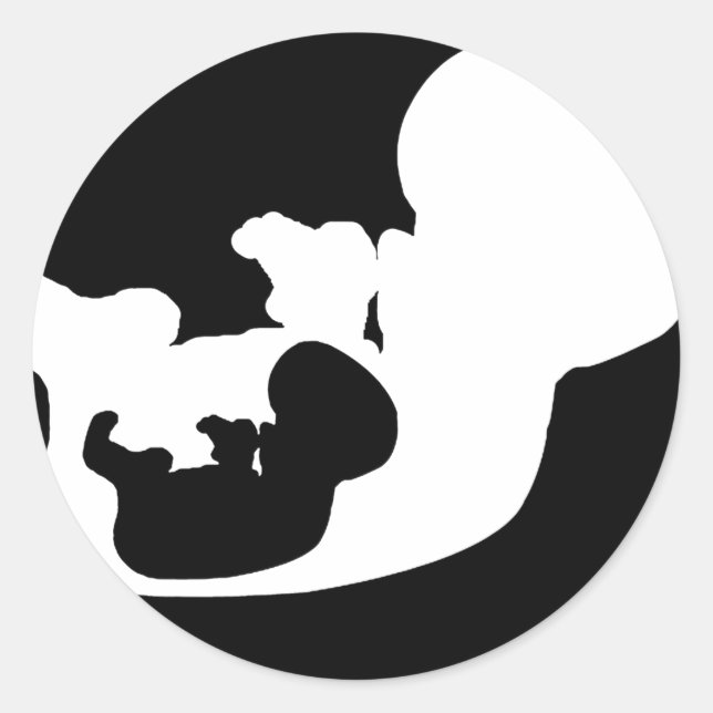 Autocollants de logo Fetus in Fetu Productions (20 (Devant)