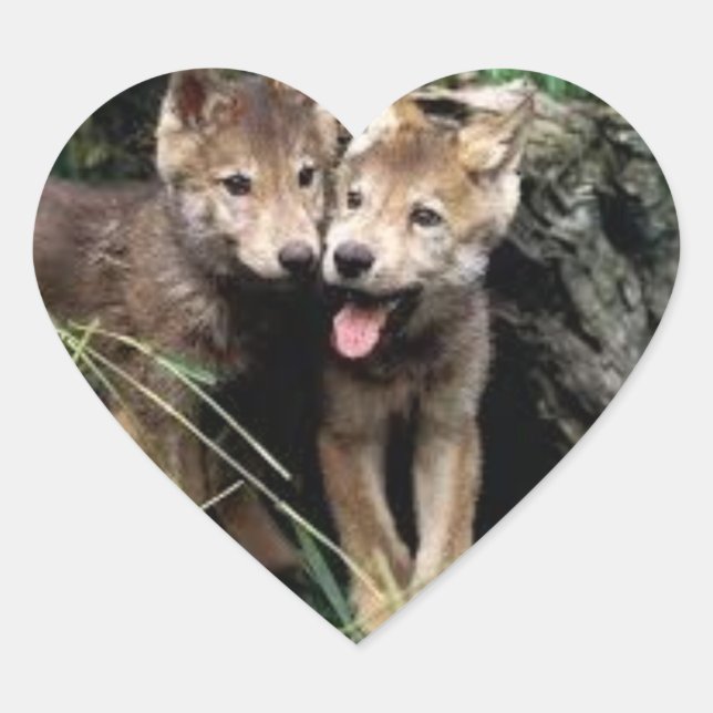 autocollants de loup (Devant)