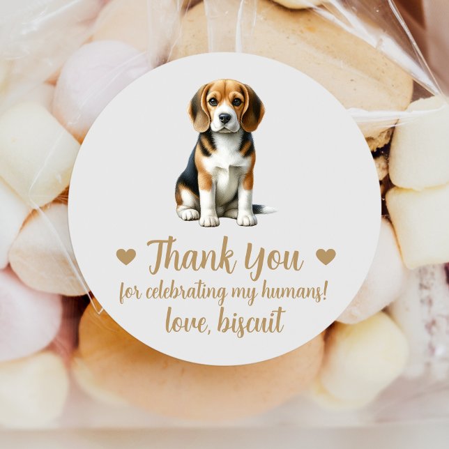Autocollants de mariage de chien Beagle personnali (Créateur téléchargé)