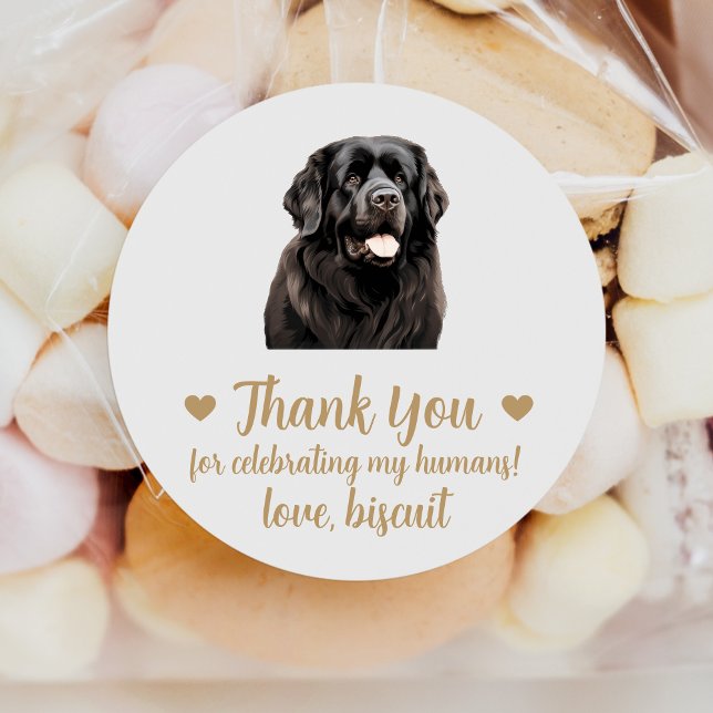 Autocollants de mariage personnalisés pour chien d (Créateur téléchargé)