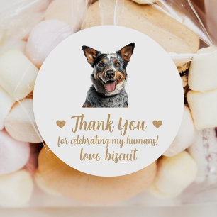 Autocollants de mariage pour chien de bétail austr