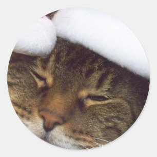 Autocollants de minou de Noël