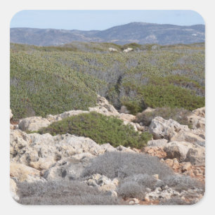 Autocollants de paysage de la Chypre