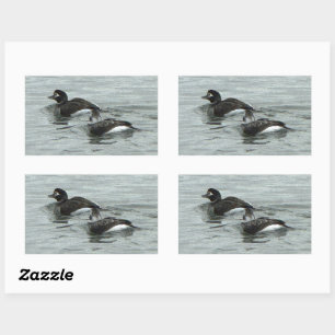 Autocollants de photo de canards dans l'océan