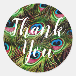 Autocollants de plume de paon Merci
