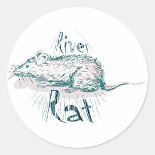 autocollants de rat de rivière