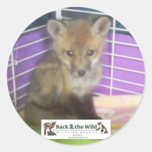 autocollants de renard de bébé