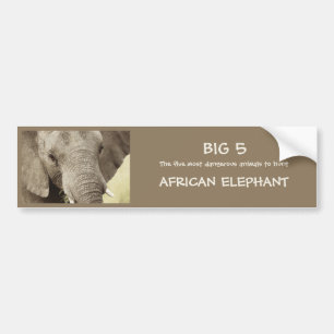 Autocollants de safari de faune d'éléphant