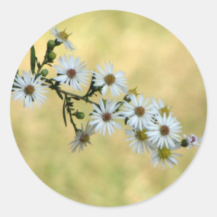 Autocollants de SimpleDelight