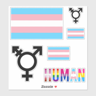 Autocollants découpés Drapeau de fierté transgenre