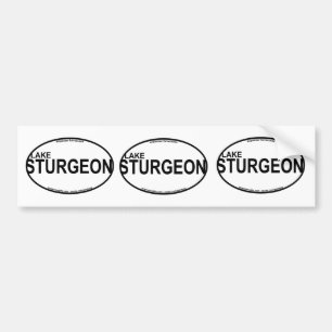 Autocollants d'euro d'esturgeon de lac