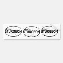 Autocollants d'euro d'esturgeon de Sterlet