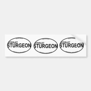 Autocollants d'euro d'esturgeon de Sterlet