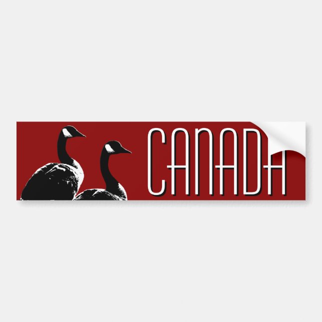 Autocollants d'oies du Canada d'adhésif pour (Devant)