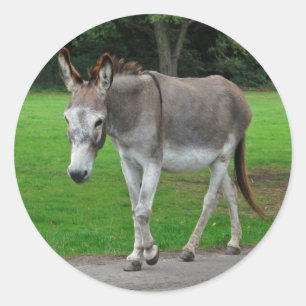 Autocollants Donkey