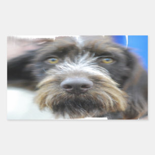 Autocollants d'une chevelure d'indicateur de fil