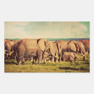 Autocollants éléphants
