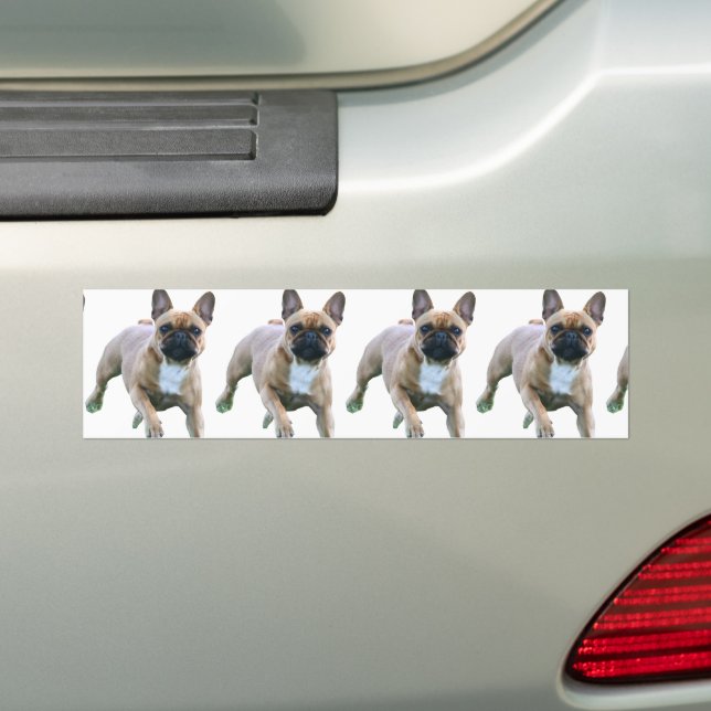 Autocollants en bulldog français (En voiture)