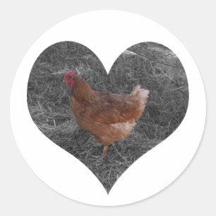 Autocollants en forme de coeur de poulet