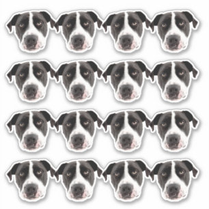 Autocollants en vinyle étanche photo personnalisés