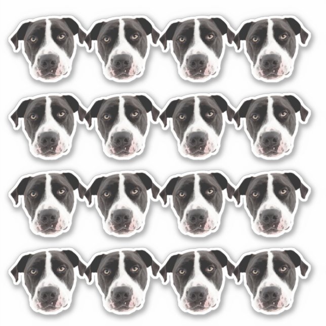 Autocollants en vinyle étanche photo personnalisés (Devant)